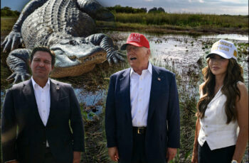 ‘Alligator Alcatraz’ Detention Center Poses Serious Risks to Immigrants Beyond Just Alligators